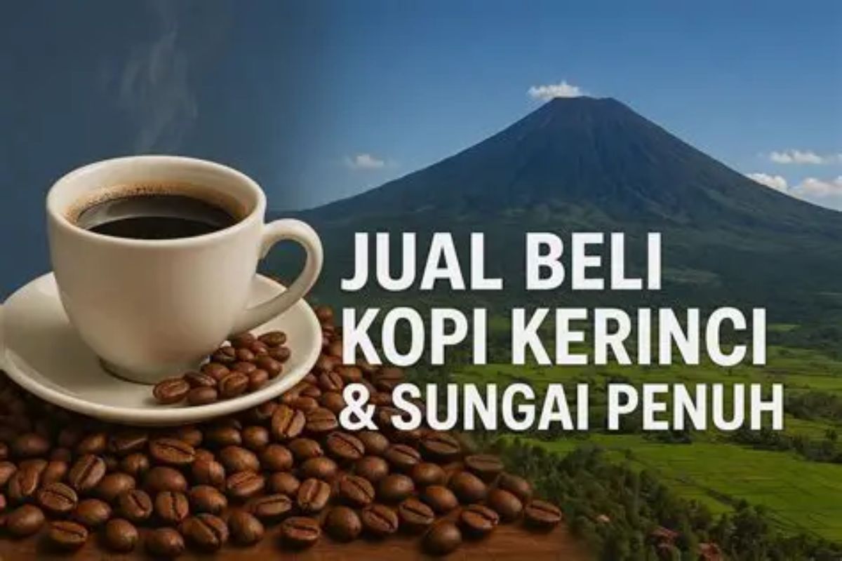 Kopi Kerinci Asli: Ciri Khas, Cek Keaslian, dan Tempat Membeli yang Tepat