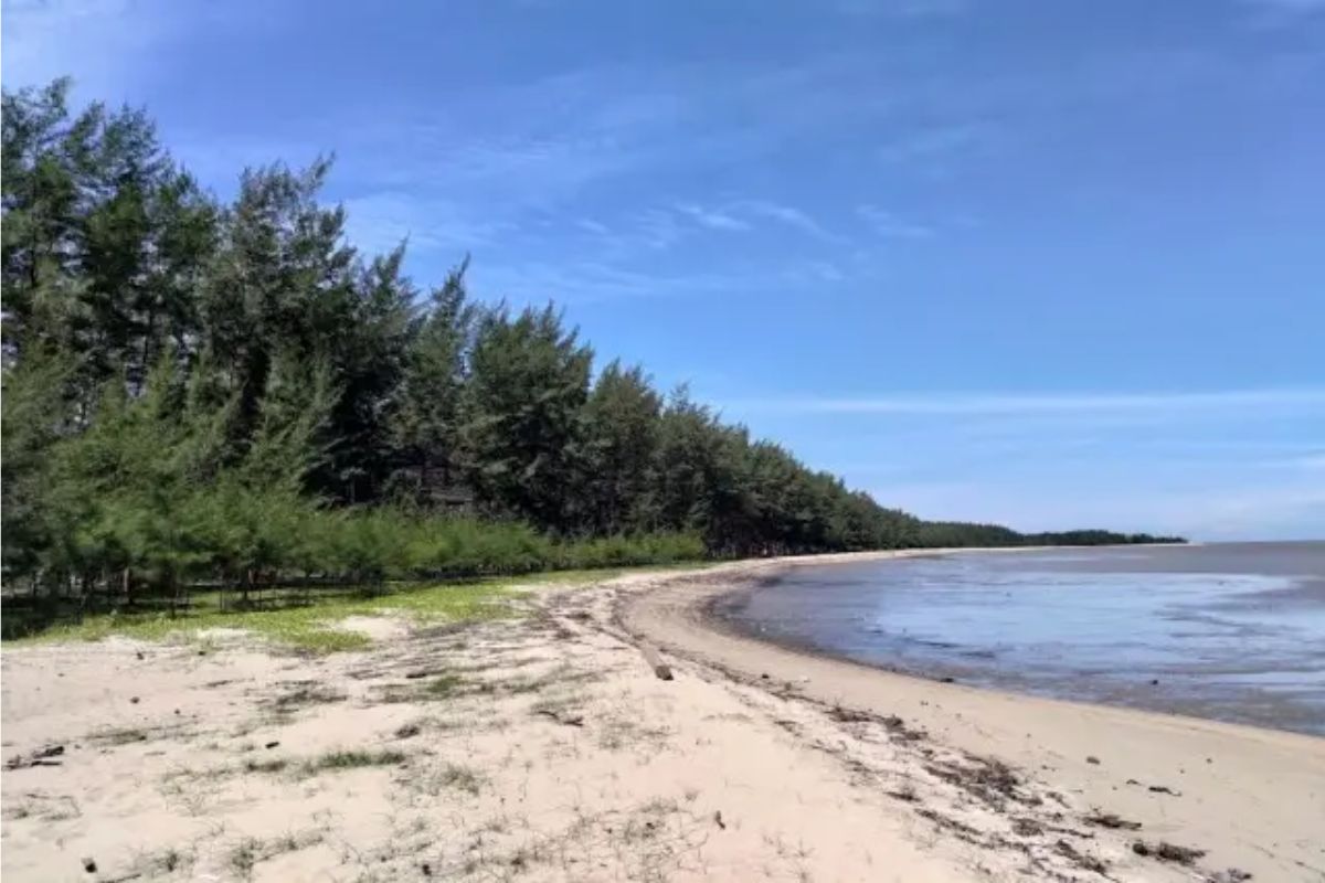 Pantai yang Masih Sepi di Kalimantan Tengah untuk Liburan