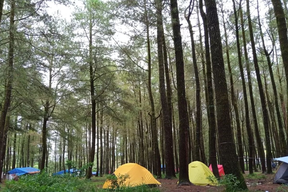 Tempat Camping Terbaik di Sulawesi Tenggara untuk Pecinta Alam
