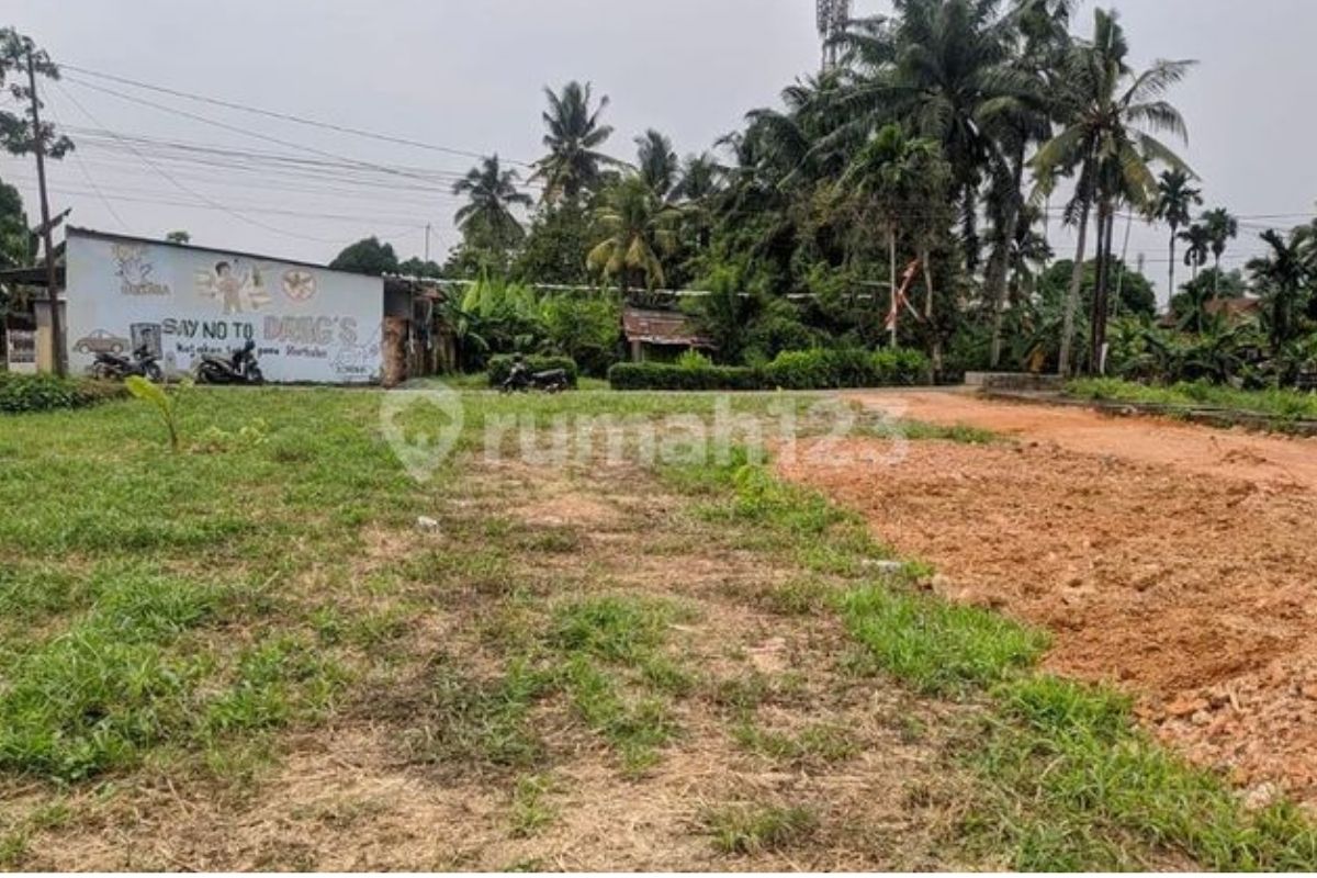 Panduan Memilih Tanah Dijual di Jambi: Keamanan, Legalitas, dan Lokasi