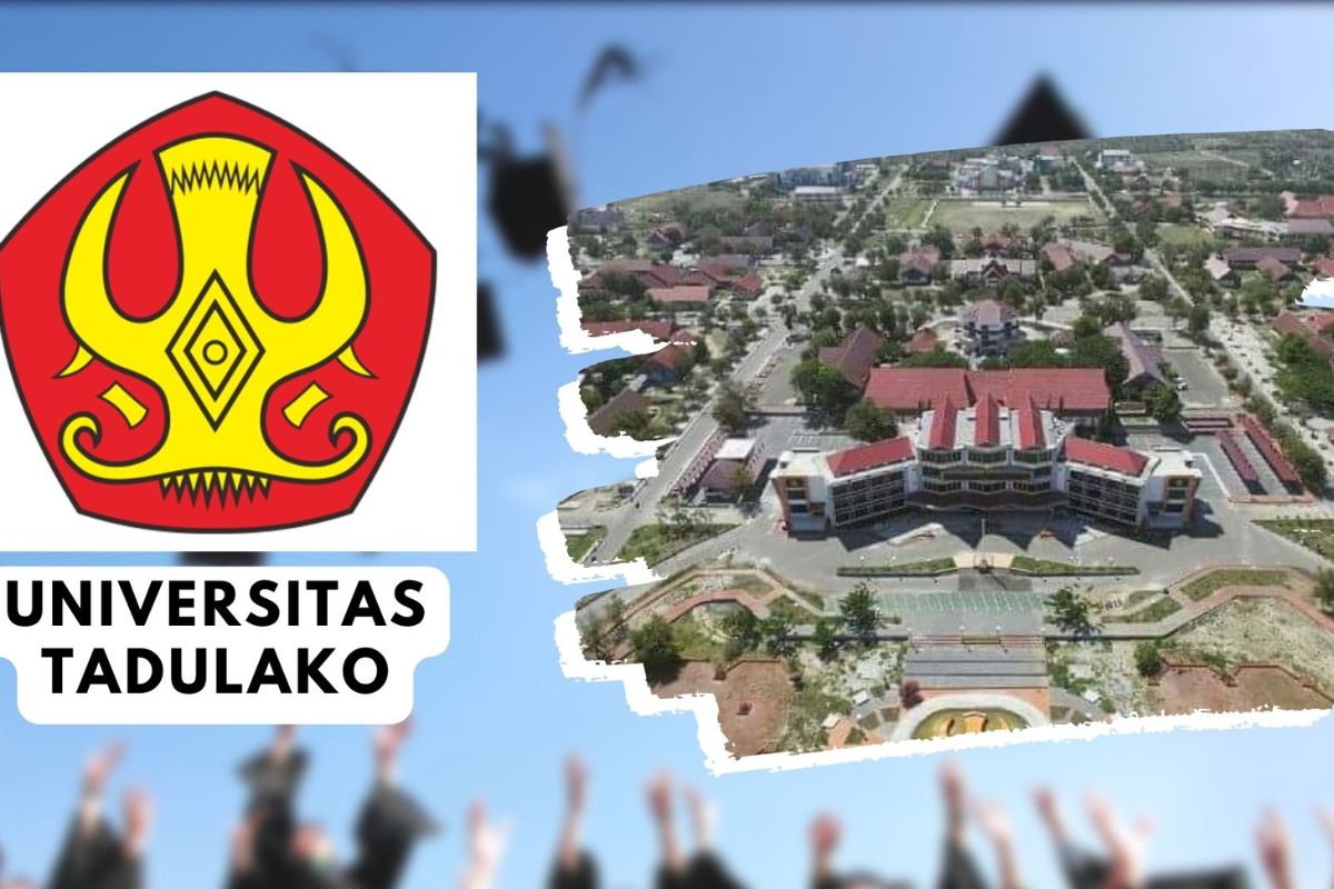 Kos Putri Dekat Universitas Tadulako: Lokasi dan Tips Memilih