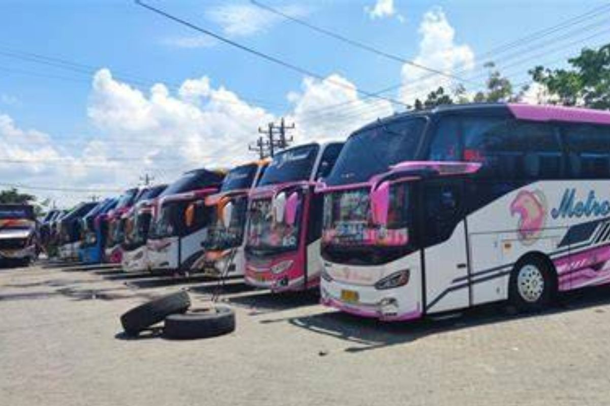 Jadwal Bus Makassar ke Toraja: Jam, Harga, dan Rute
