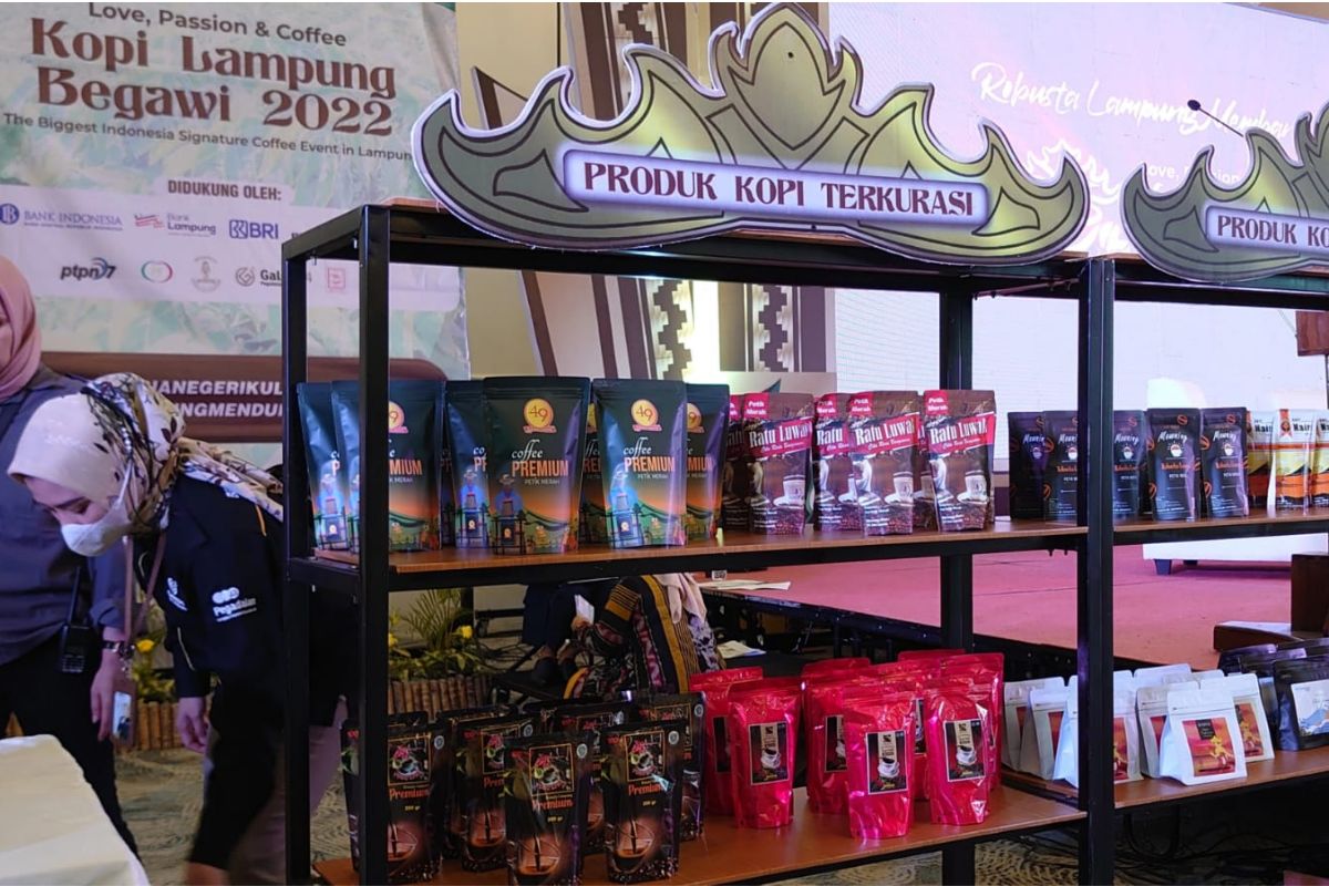 Kopi Lampung Asli: Panduan Memilih Tempat Beli, Ciri Kemasan, dan Cara Verifikasi Keaslian