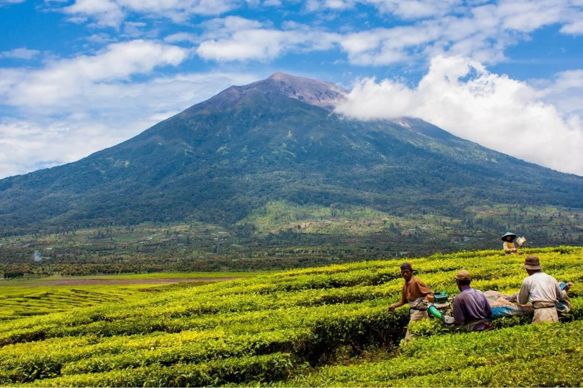 Spot Foto Instagramable di Kerinci untuk Liburan Berkesan